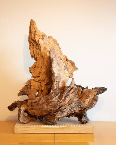 Oak organic decorative sculpture thumb