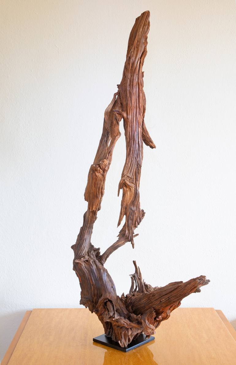 Original Abstract Nature Sculpture by Jozef Sedmak