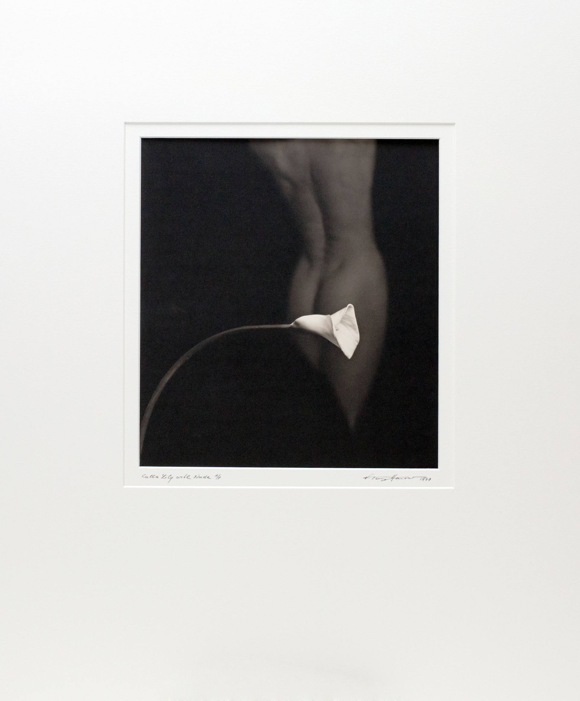 Calla Lily with Nude Photography by V Tony Hauser | Saatchi Art