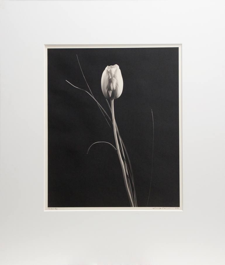 Original Floral Photography by V Tony Hauser