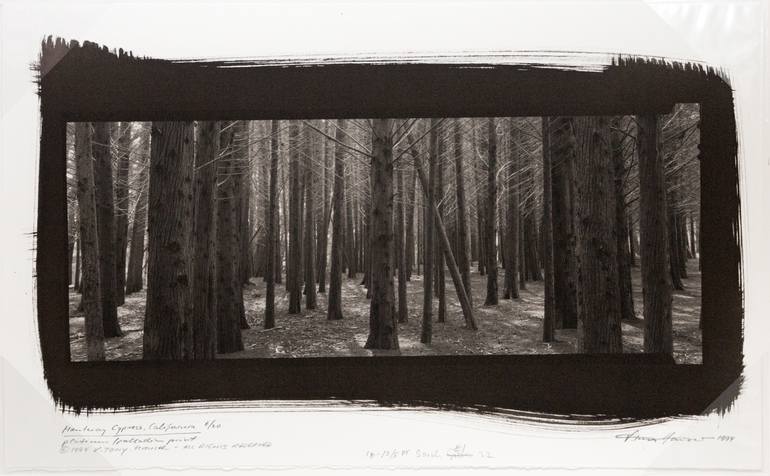 Original Other Landscape Photography by V Tony Hauser