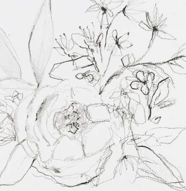 Print of Fine Art Floral Drawings by Nina Suh Lance