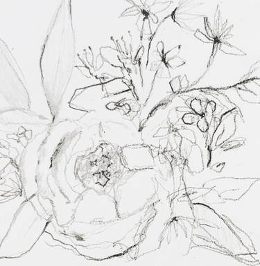 Original Fine Art Floral Drawings by Nina Suh Lance