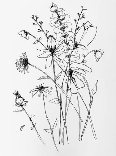 Print of Expressionism Botanic Drawings by Nina Suh Lance