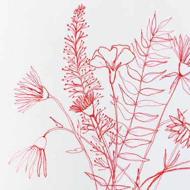 Print of Fine Art Floral Drawings by Nina Suh Lance
