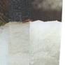 Collage 246 (detail)