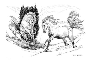 Original Fine Art Horse Drawings by Monika Szente