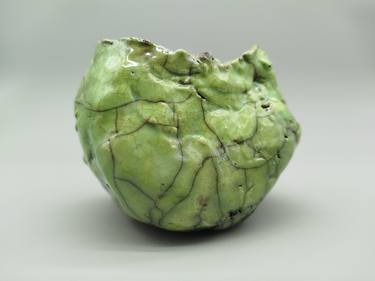 Original Conceptual Botanic Sculpture by Dawid Stroyny