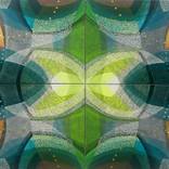 Tetra Kaleidoscope by Sandra Carvajal - San Starling