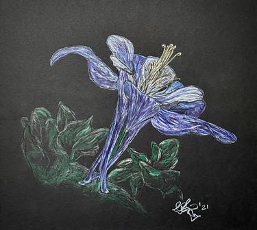 Original Expressionism Floral Drawings by Patrick Riley