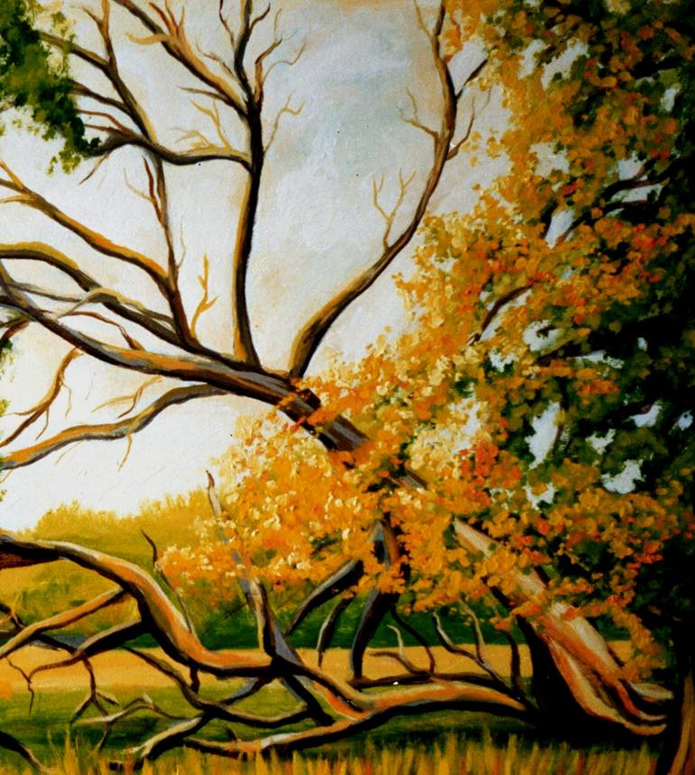 Original Realism Nature Painting by Dan Civa