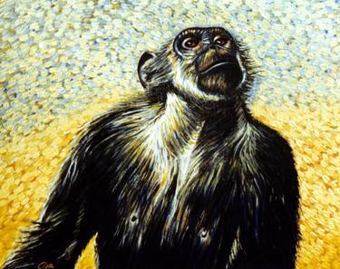 Chimpanzee portrait (chimp 2) thumb