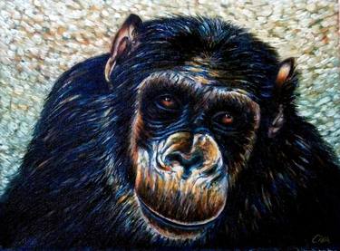 Print of Documentary Animal Paintings by Dan Civa