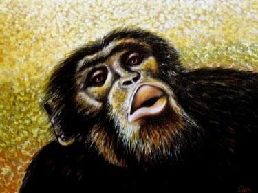 Chimpanzee portrait (chimp 5) thumb