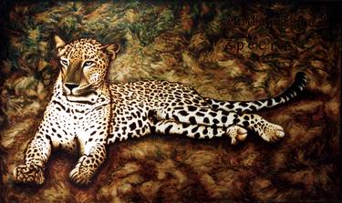 Leopard in  Wildlife Sanctuary, Sri Lanka thumb