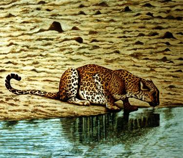Leopard drinking water, Wilpattu National Park, Sri Lanka thumb