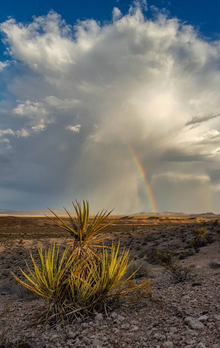 Lake Mead Rainbow Photography by Aaron Williams Saatchi Art