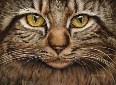 Print of Fine Art Cats Paintings by Irma Mason
