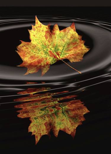 Print of Photorealism Water Photography by Irma Mason