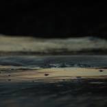 The Dark Path #1 - Limited Edition of 5 by Victoria McNeill