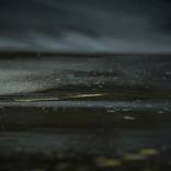 The Dark Path #2 - Limited Edition of 5 by Victoria McNeill