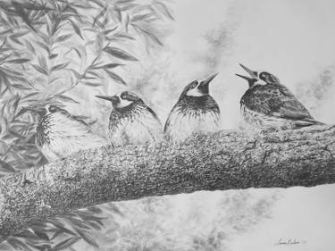 Saatchi Art Artist Larissa Babicz; Drawings, “Acorn Woodpeckers” #art