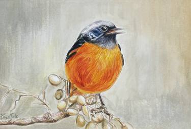 Original Realism Animal Paintings by payal sule