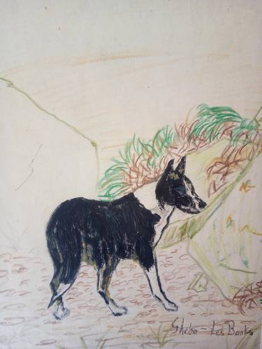 Print of Dogs Drawings by Leslie Banks