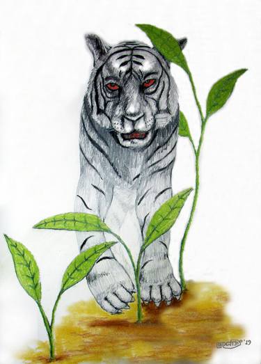 Print of Animal Drawings by PRASENJIT NATH