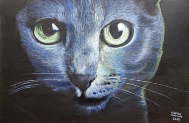 Chat Bleu Paintings For Sale Saatchi Art
