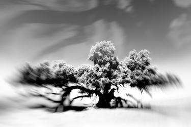 Print of Abstract Landscape Photography by Rosa Frei