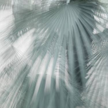 Print of Abstract Photography by Rosa Frei