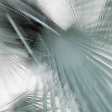 Print of Abstract Photography by Rosa Frei