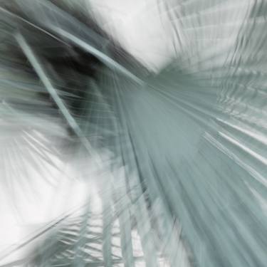 Original Abstract Expressionism Abstract Photography by Rosa Frei