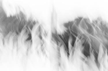 Original Abstract Expressionism Abstract Photography by Rosa Frei