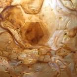 Honey Dreaming by Fiona Long