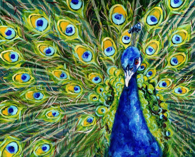 Magnificent Peacock Giclee Canvas Wall Art Set