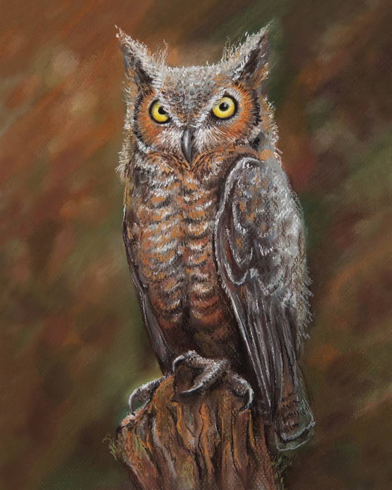 Great horned owl Drawing by Barbara Miadzvedzeva | Saatchi Art