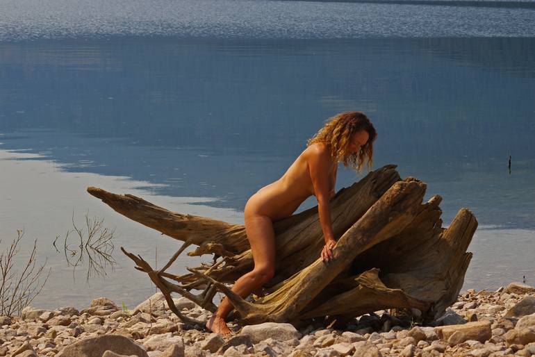 Naked Nude Sexy Driftwood Nymph Photography by Amy Rogers | Saatchi Art