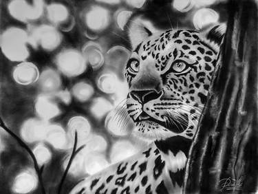 leopard thumb