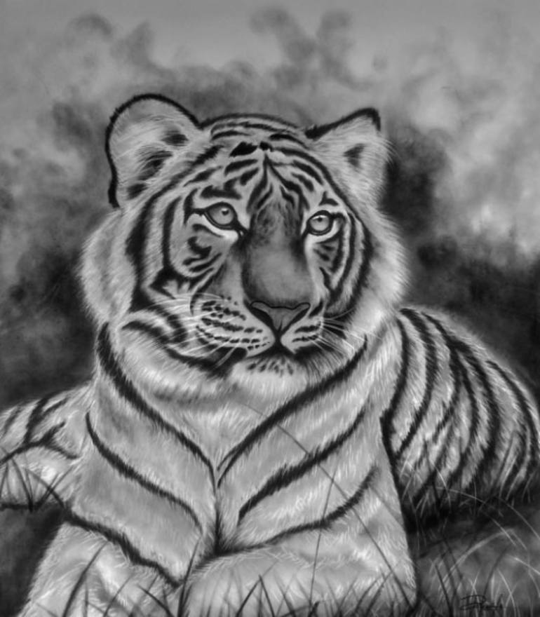 balinese tiger drawing