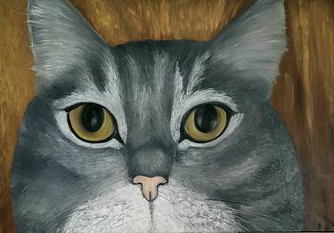 Original Cats Paintings by Julia Sowa