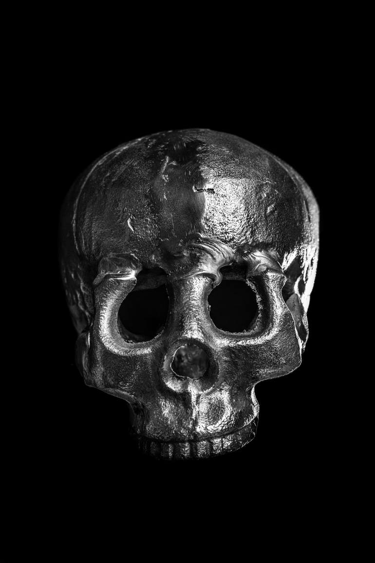 skull photography art