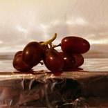 Precarious Perchment by Randy Ford