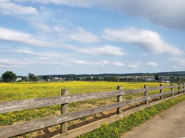 A countryside afternoon thumb