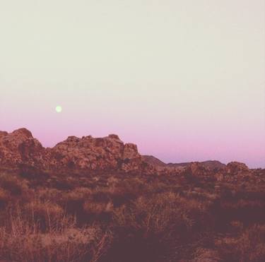 joshua tree thumb