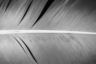 Stripes and Lines - Limited Edition of 10 thumb