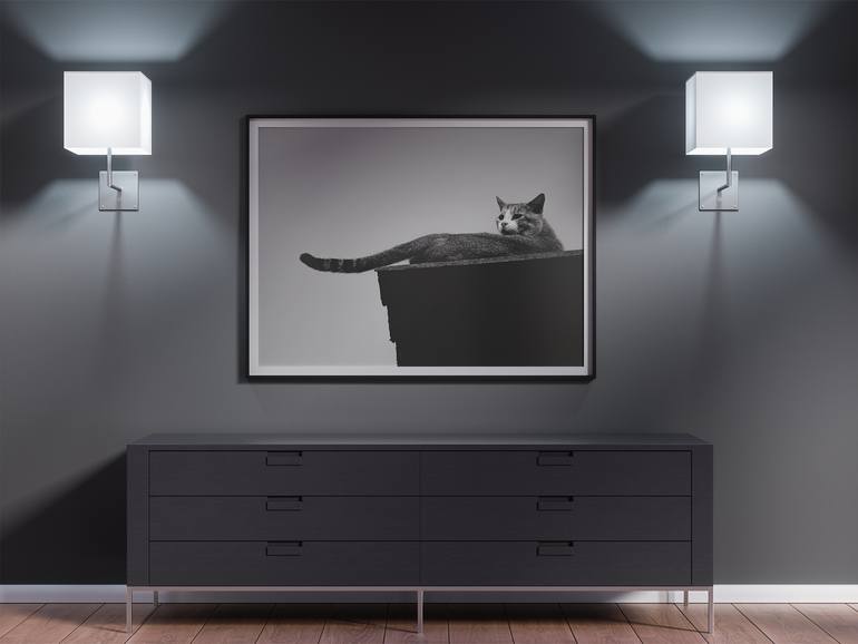 Original Expressionism Animal Photography by M S Sheriff