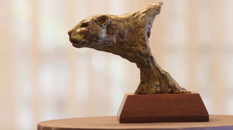 Anticipation - Leopard Bust Bronze Sculpture by Willem Botha | Saatchi Art