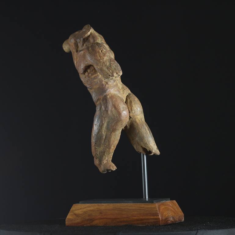Original Realism Other Sculpture by Willem Botha